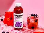 Nessen Company Brutine Packaging Design