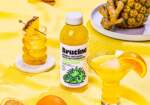 Nessen Company Brutine Packaging Design