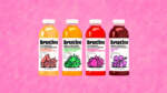 Nessen Company Brutine Packaging Design